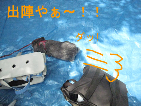 ¤¦¤µ¤ó¤Ý3_3