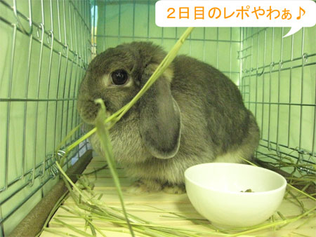 うさフェスタ2008:2日目全編〜出会い&再会〜_1