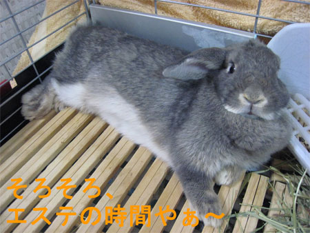 エステ1