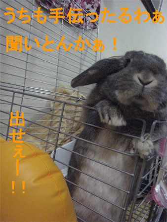 ¤ª¤Ò¤µ4