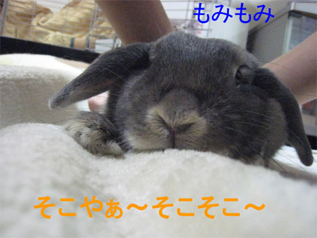 ¥Þ¥Ã¥µ¡¼¥¸2