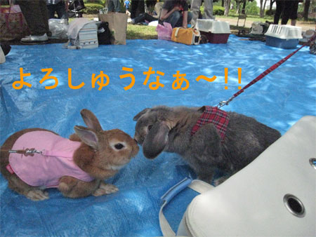 ¤¦¤µ¤ó¤Ý3_4