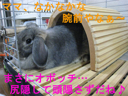 新築4