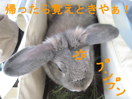 再発9