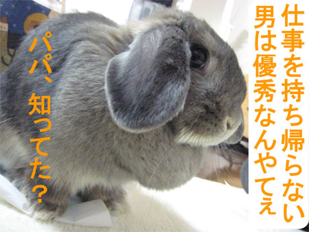 ¤ª¤Ò¤µ2