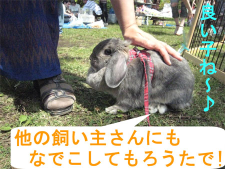 ¤¦¤µ¤ó¤Ý3_6