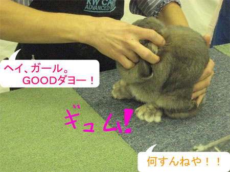 うさフェスタ2008:2日目全編〜出会い&再会〜_2