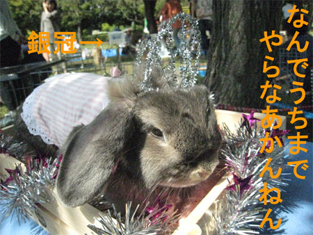 ¤¦¤µ¤ó¤Ý3_14