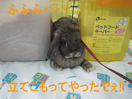 ¤¦¤µ¤ó¤Ý3_18