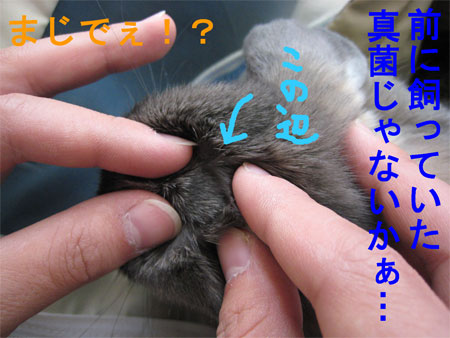 再発1