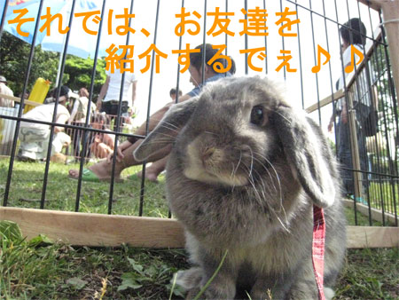 ¤¦¤µ¤ó¤Ý3_7