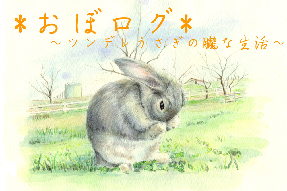 �ȥå׳�4