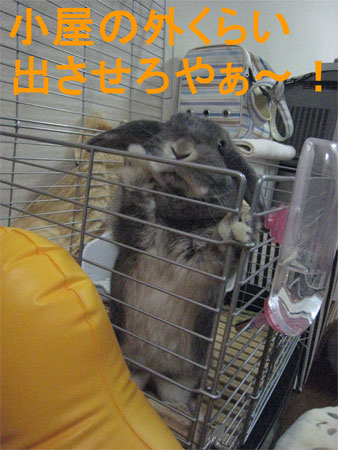 ¤ª¤Ò¤µ3