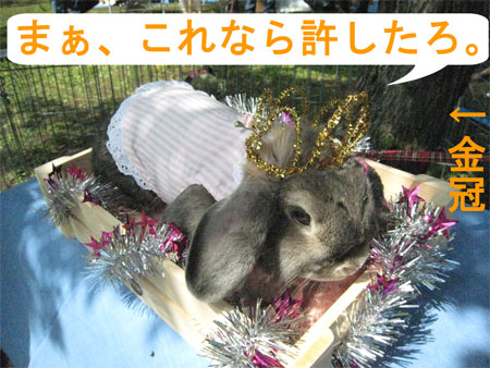 ¤¦¤µ¤ó¤Ý3_15
