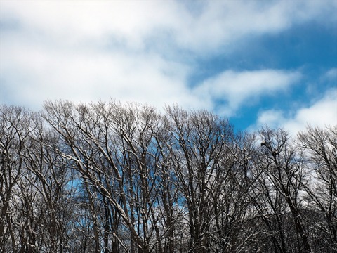 DSCF9812_R