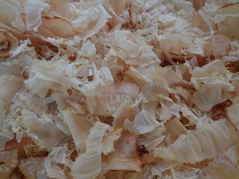 DSC01070_R