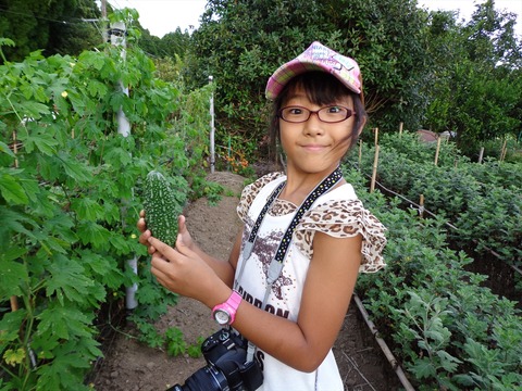DSC01521_R