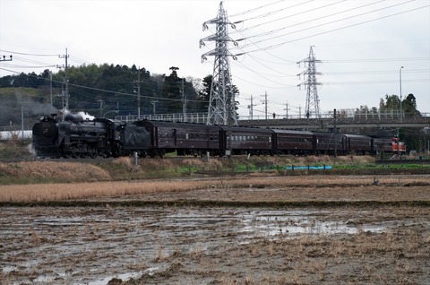IMGP9996_R