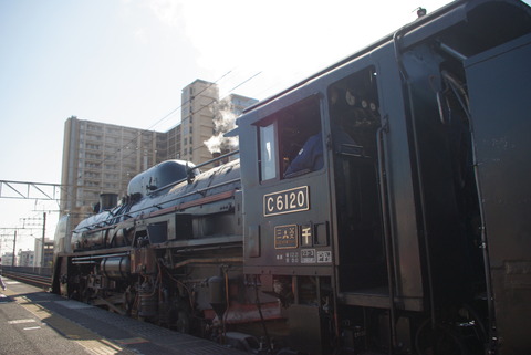IMGP5061
