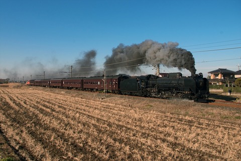 IMGP2789_R