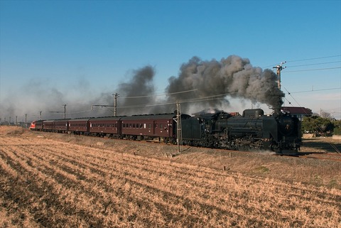IMGP2788_R
