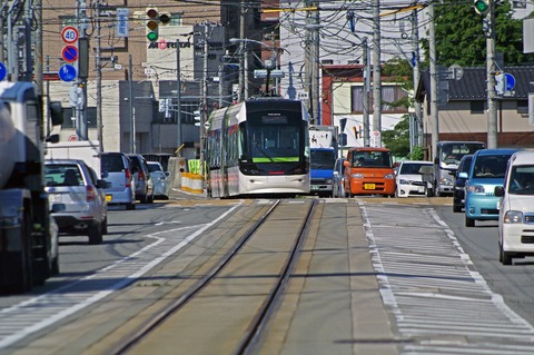IMGP2461_R