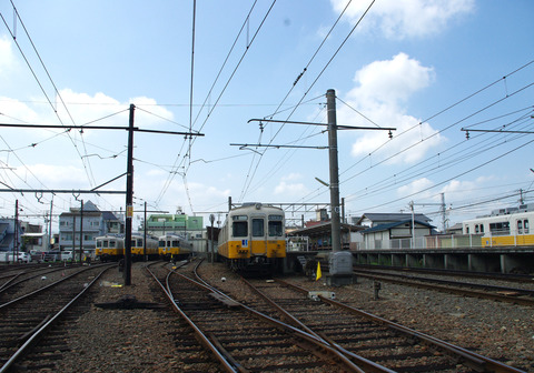IMGP6486