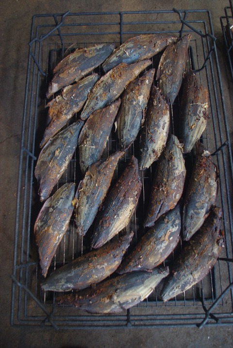 IMGP1350_R