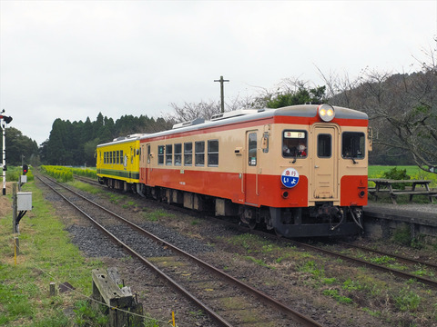 S0563244_R