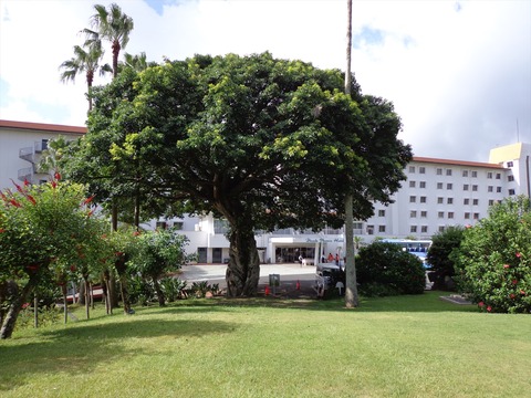 DSC00634_R