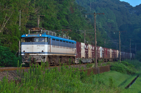 IMGP5102_R