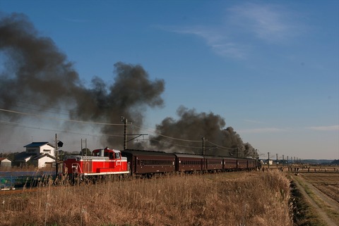 IMGP2790_R
