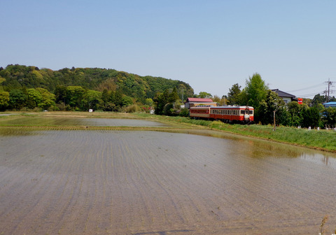 DSC00733