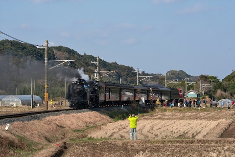 IMGP2874_R