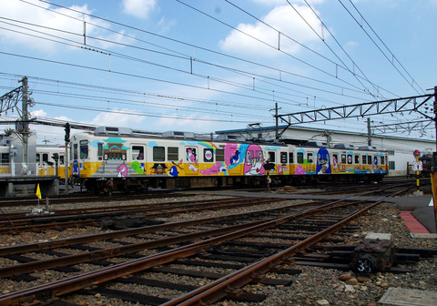 IMGP6495