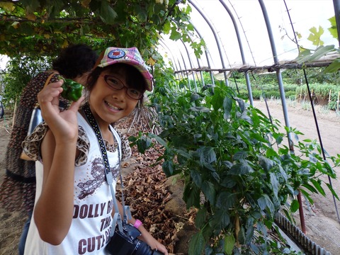 DSC01477_R