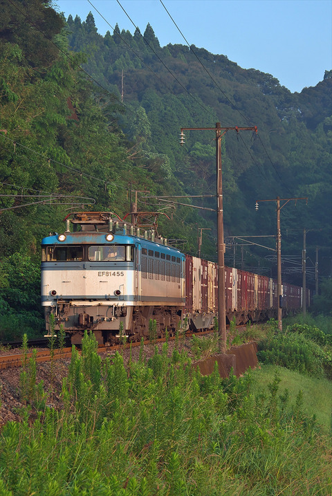 IMGP2673_R
