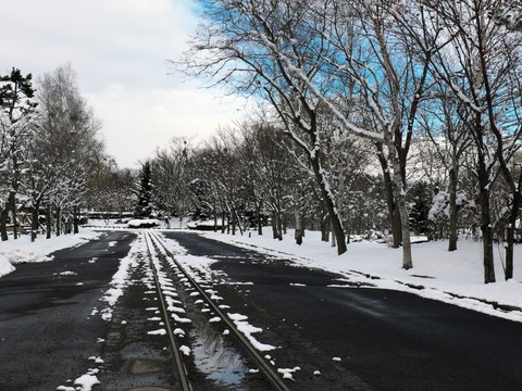DSCF9850_R