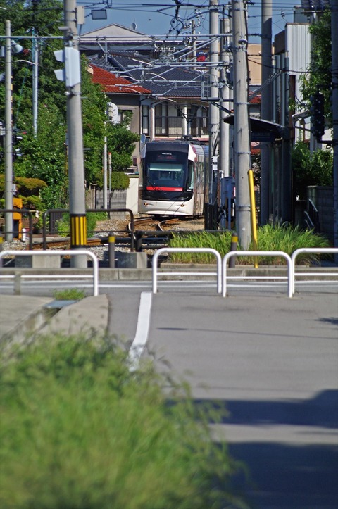 IMGP2467_R