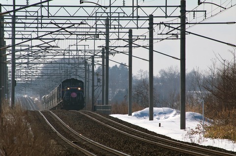IMGP4319_R