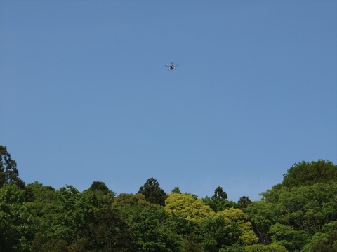 S0222029_R