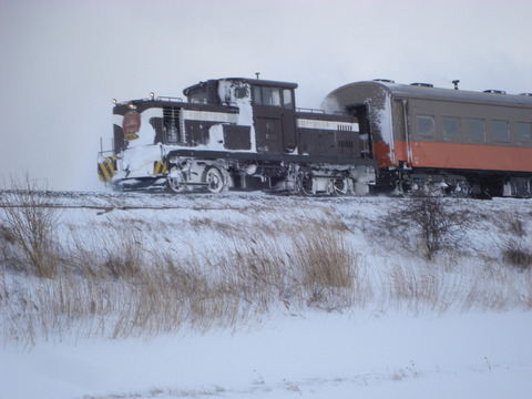 DSC05421
