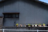秋めく2