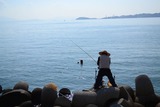 大魚