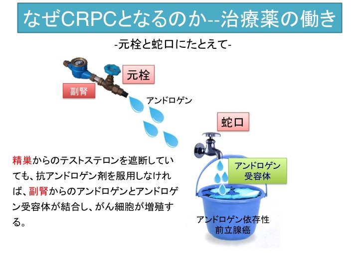 slide11