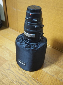P7020006
