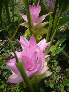 P1050841