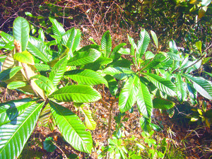 P1070094