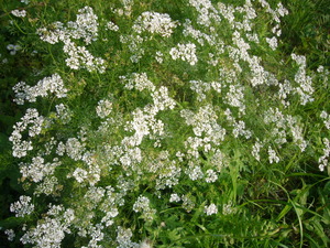 P1050860