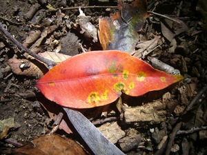P1060202